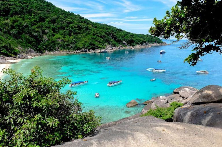 Boats in a blue sea near a green island